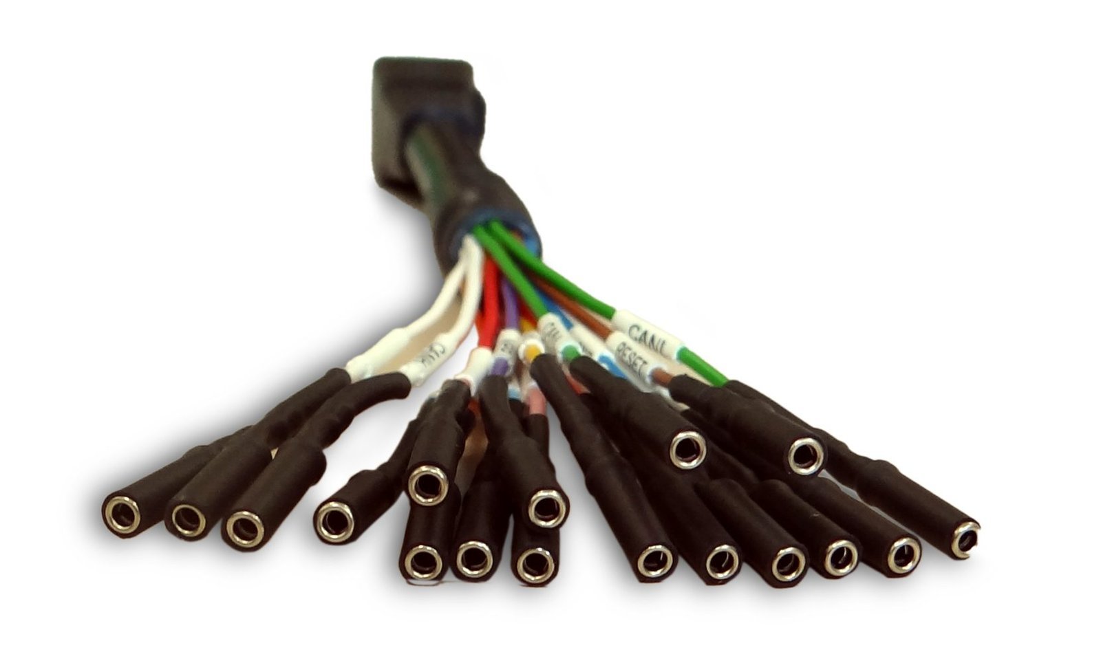 144300KBNC - cavo multifilare